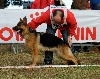  - Brevet de chien de défense